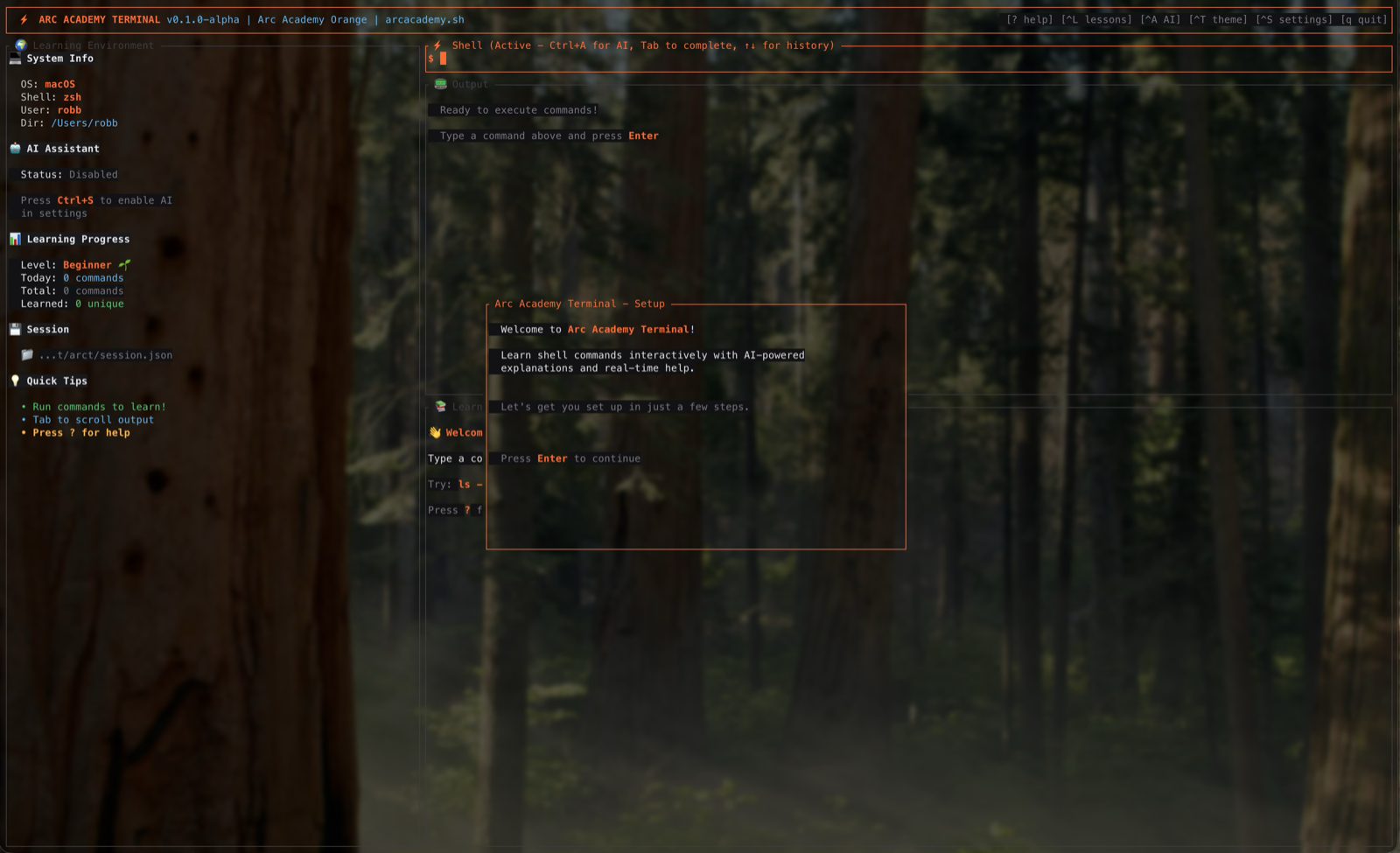 Arc Academy Terminal Interface